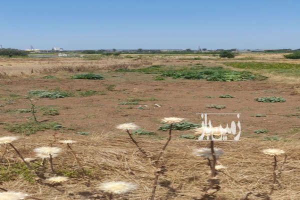 زمین خوش نقشه ۶۰۰ متر روستای جامخانه - تصویر 3