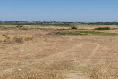 زمین خوش نقشه ۶۰۰ متر روستای جامخانه