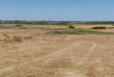 زمین خوش نقشه ۶۰۰ متر روستای جامخانه