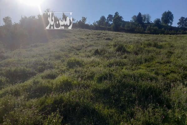 زمین ۱۰۰۰ متر روستای بالا دزا با ویو بسیار عالی - تصویر 4