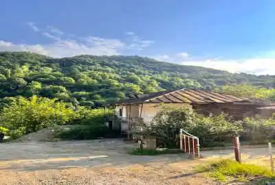 زمین مسکونی و بنای قدیمی ۴۹۸ متر ویو ابدی جنگل