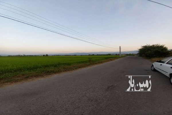 زمین مسکونی ۱۰۰۰ متر با پروانه ساخت و نامه بنیاد - تصویر 1
