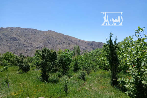 فروش باغ ۲۰۰۰ متری در دماوند سند تک برگ جواز ساخت ۱۰۰ متری - تصویر 4