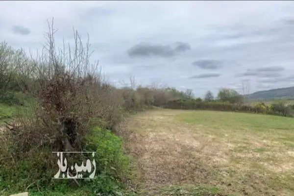 فروش زمین کشاورزی ۱۰۰۰ متر شیرگاه - تصویر 3