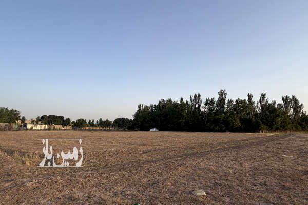 زمین کشاورزی ۳۰۰۰ متر البرز روستای قلعه آذری - تصویر 4