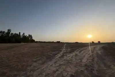 زمین کشاورزی ۳۰۰۰ متر البرز روستای قلعه آذری
