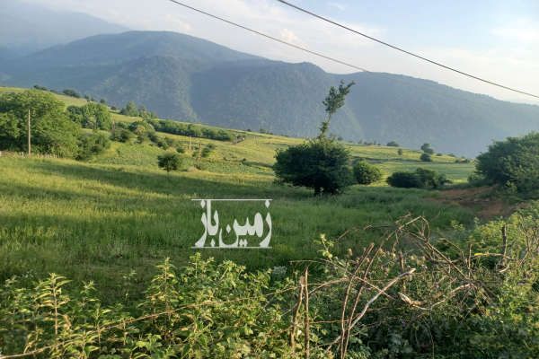 فروش زمین مسکونی ۶۰۰ متر خوش آب و هوا با ویوی ابدی - تصویر 3