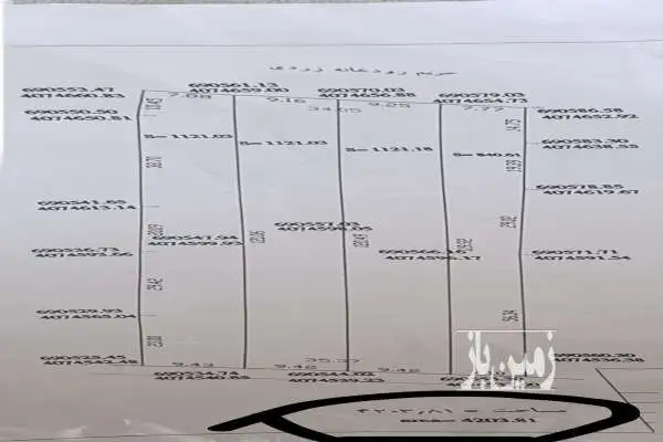 فروش باغ مرکبات ۴۲۰۰ متر در شریف آباد فرح آباد - تصویر 2