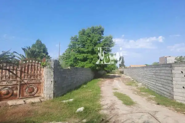 فروش زمین بهنمیر روستای افراتخت بالا ۲۴۶۰ متر - تصویر 2