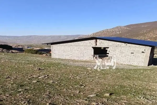 زمین ۳۸۸ متر نوشهر کجور روستای انگاس - تصویر 2