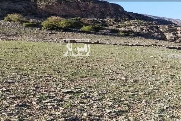 زمین ۳۸۸ متر نوشهر کجور روستای انگاس - تصویر 4