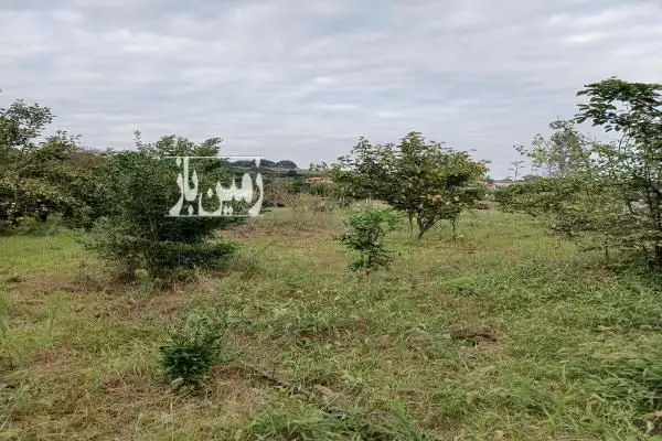 زمین باغی روستای آبندانکش دارای درختان متعدد میوه - تصویر 3