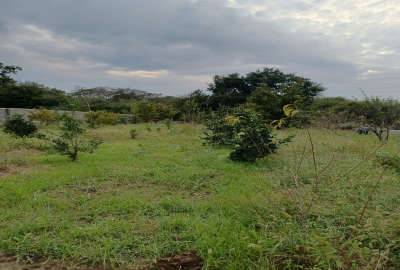 زمین باغی روستای آبندانکش دارای درختان متعدد میوه