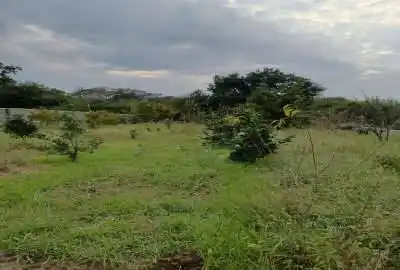 زمین باغی روستای آبندانکش دارای درختان متعدد میوه