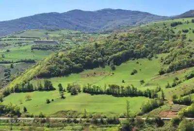 فروش یک قطعه زمین در روستای زیبای ویشان