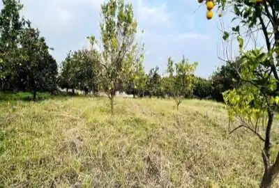فروش زمین در شیرود دوراهی لشتو