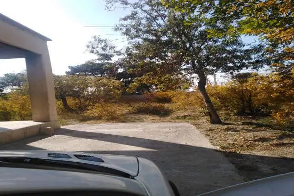 باغ ۵۰۰۰ متر ده عباس حوالی اسلامشهر - تصویر 2