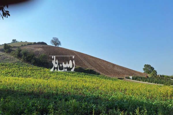یک هکتار زمین با چشم انذاز جنگلی در روستای زرندین - تصویر 1