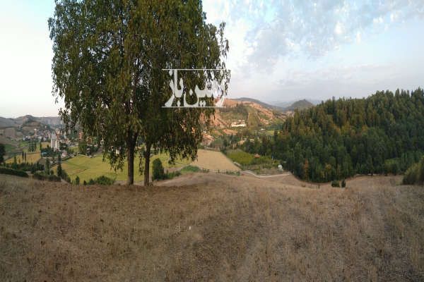 یک هکتار زمین با چشم انذاز جنگلی در روستای زرندین - تصویر 3