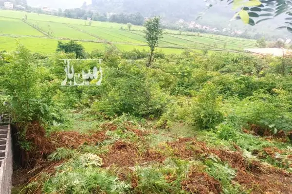 زمین مسکونی در طبیعت در روستای اطراف ماسال - تصویر 2