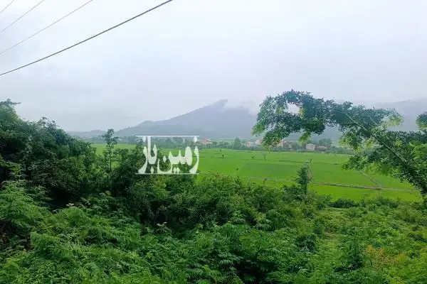 زمین مسکونی در طبیعت در روستای اطراف ماسال - تصویر 3