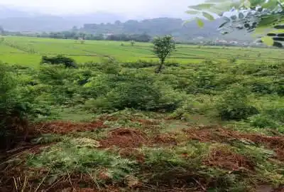 زمین مسکونی در طبیعت در روستای اطراف ماسال