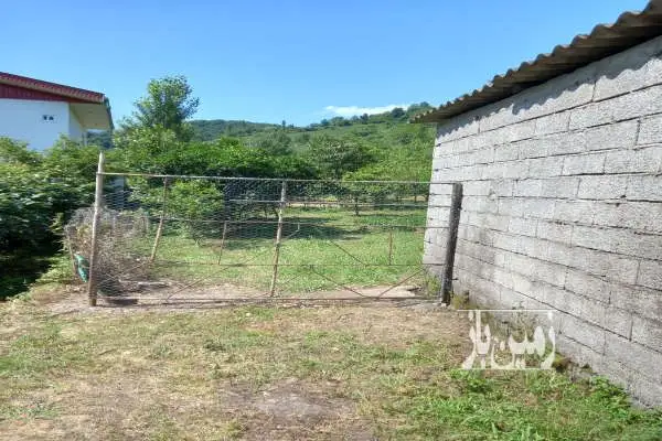 فروش یک قطعه زمین باغ تنکابن روستای پلطان - تصویر 3