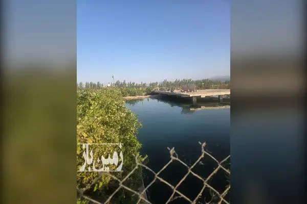 باغ و زمین کشاورزی بهمراه ۱۲ ساعت اب - تصویر 2