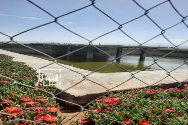 باغ و زمین کشاورزی بهمراه ۱۲ ساعت اب - تصویر 3