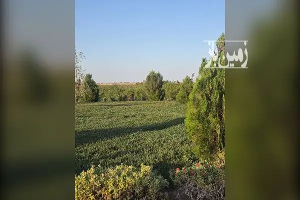 باغ و زمین کشاورزی بهمراه ۱۲ ساعت اب - تصویر 4