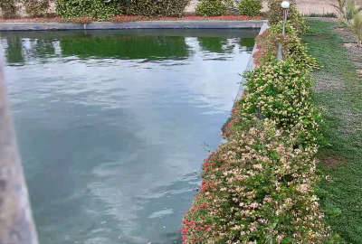 باغ و زمین کشاورزی بهمراه ۱۲ ساعت اب