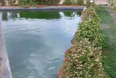باغ و زمین کشاورزی بهمراه ۱۲ ساعت اب