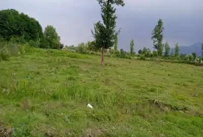 زمین سند دار در گیلان ماسال روستای وشمه سرا