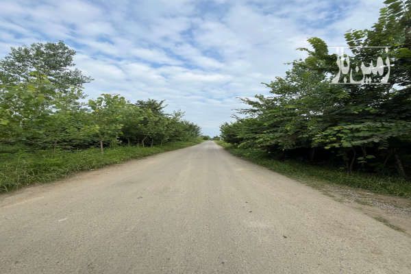 فروش بدون واسطه زمین و بنا ۱۰۰۰ متری - تصویر 2