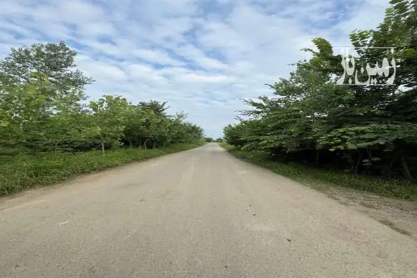 فروش بدون واسطه زمین و بنا ۱۰۰۰ متری - تصویر 2