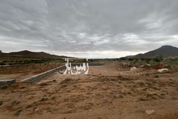 فروش زمین ۵۰۱ متری کنج کوه مهریز - تصویر 1
