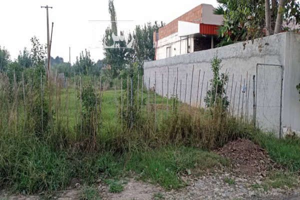 فروش زمین واقع در ساری شرفدارکلا - تصویر 3
