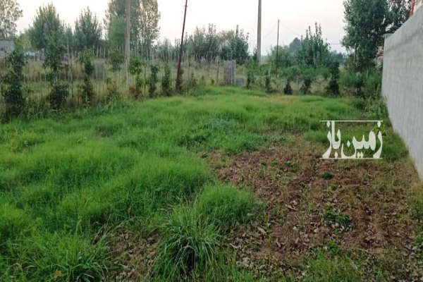 فروش زمین واقع در ساری شرفدارکلا - تصویر 4
