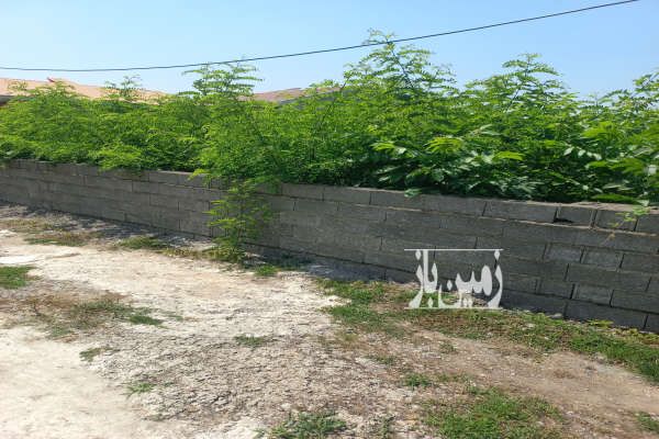 زمین مسکونی به همراه پروانه ساخت - تصویر 2