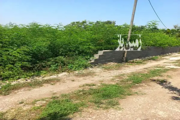 زمین مسکونی به همراه پروانه ساخت - تصویر 3