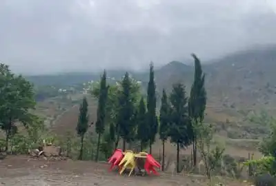 باغ در ورسک بر جاده اصلی باغ دکتر
