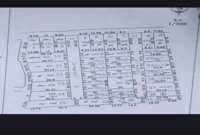فروش زمین باغی مریم اباد گرگان ۲۰۰ متر