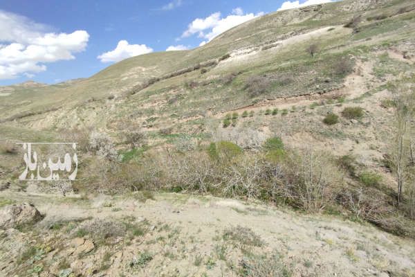 فروش باغ در منطقه خوش آب هوا روستای توداران - تصویر 1