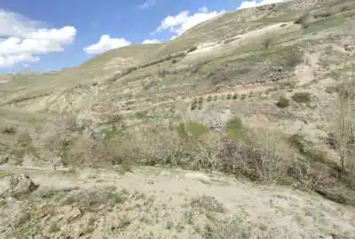 فروش باغ در منطقه خوش آب هوا روستای توداران