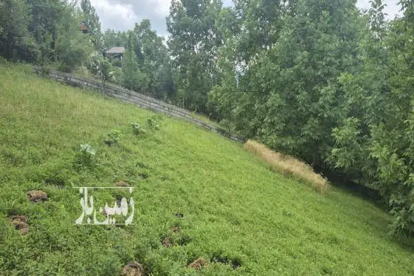 فروش زمین ۲۰۰ متری داخل بافت در منطقه بکر و زیبای لفور - تصویر 4