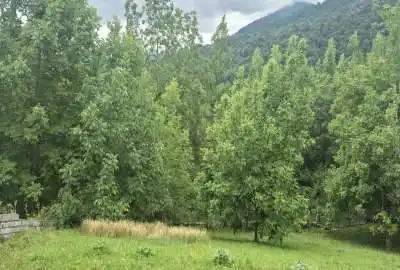 فروش زمین ۲۰۰ متری داخل بافت در منطقه بکر و زیبای لفور