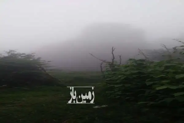 باغ با نهال های گردو فندوق و غیره با بهترین لوکیشن - تصویر 4