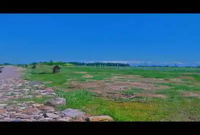 زمین مازندران ۲۰۰ متر محمود آباد با سند تک برگ