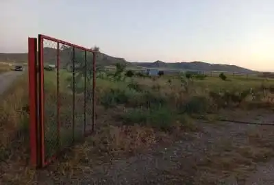 باغ پسته و بادام در ۱۵ کیلومتری تبریز