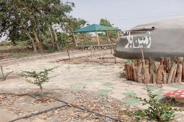 باغ پسته پیوند شده احمد آقایی - تصویر 2